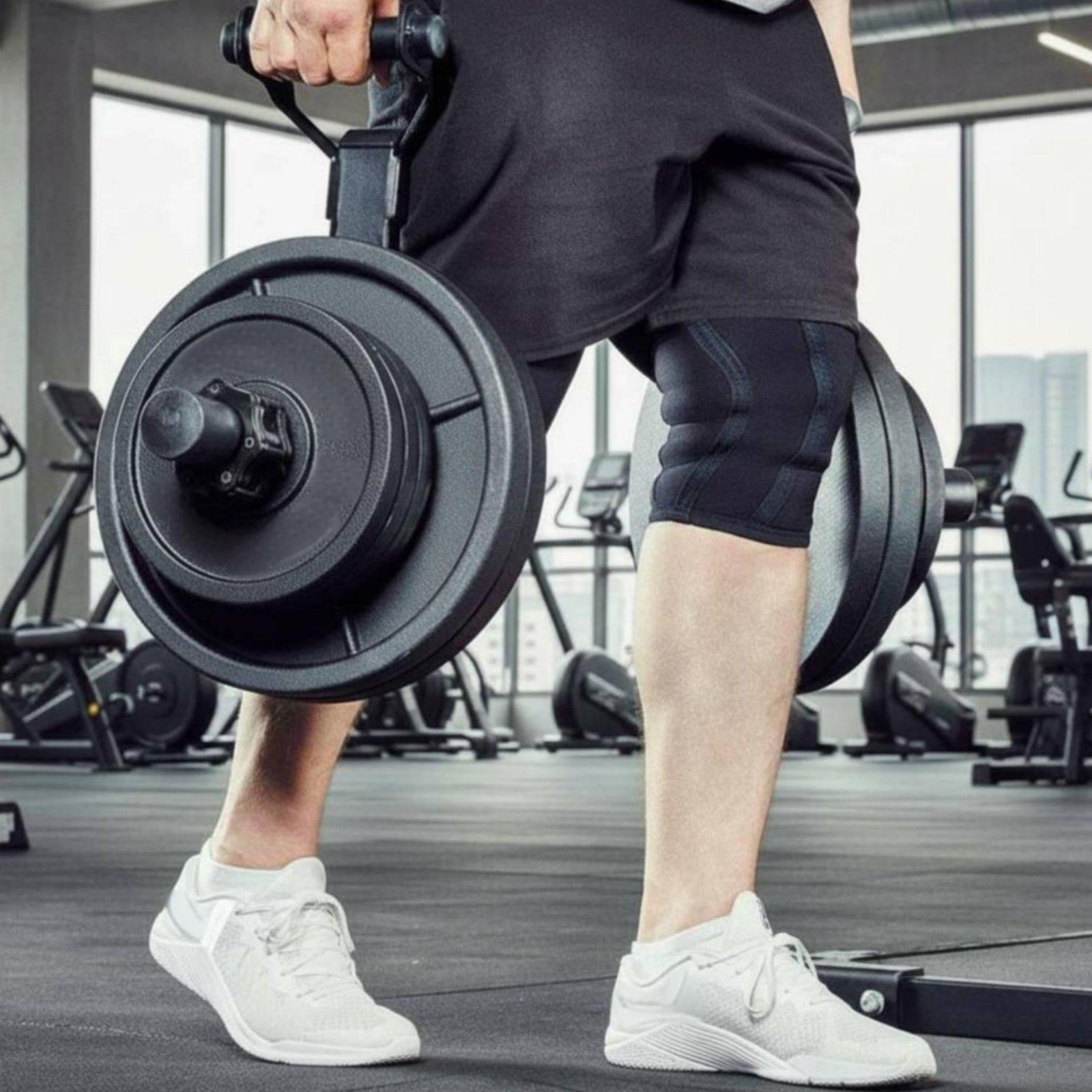 حامل أقراص الأوزان متعدد الأحج - مراجعة Home Gym Training وسعره