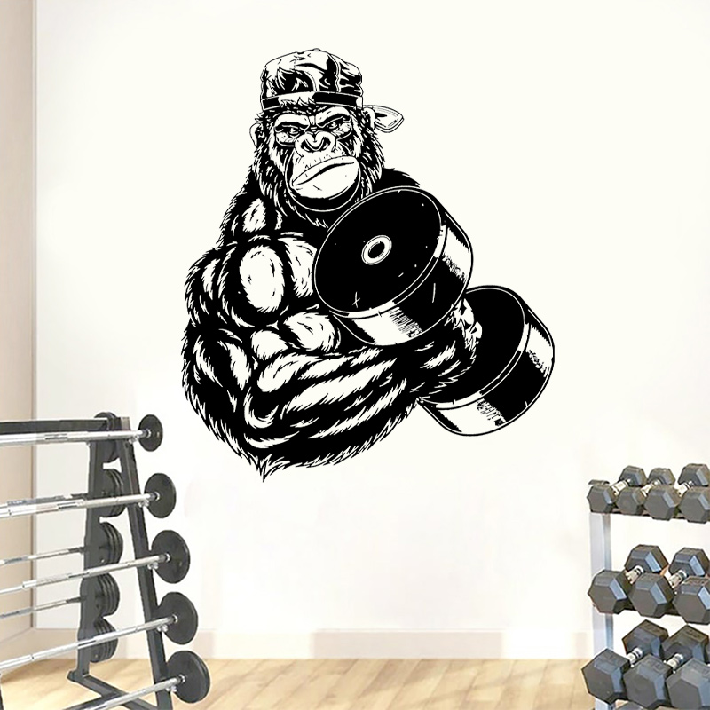 الغوريلا كمال الاجسام الصالة ا - مراجعة Home Gym Interior Design وسعره